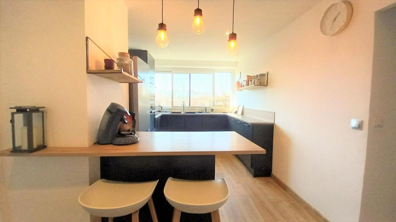 Magnifique Cocon - Metro A Republique - 2 Belles Chambres Avec Dressings - Wifi Gratuit - Netflix - Au Calme Absolu - Lumineux - Jardin Arbore Partage Dans La Residence Villeurbanne Exterior photo